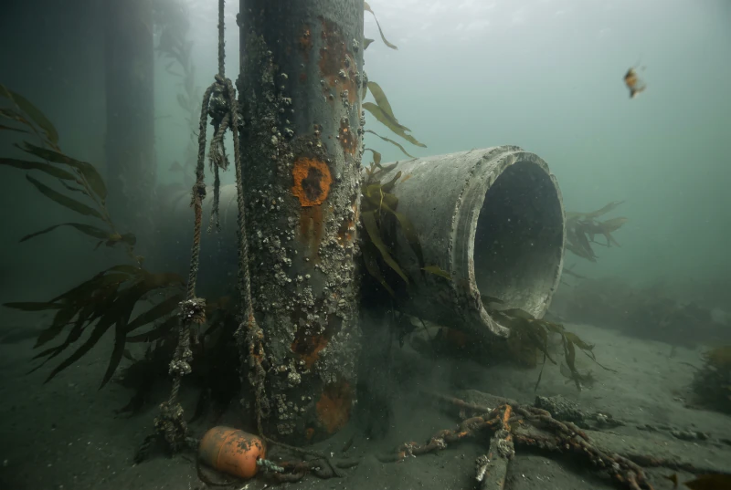 A barnacled steel pile and an outfall pipe under murky green water