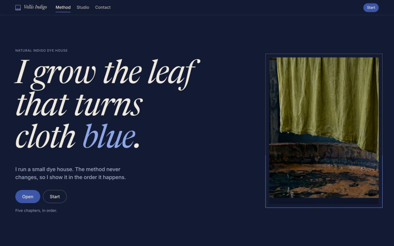 Vellis Indigo demo website, first screen